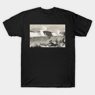 Niagara Falls in the 19th century T-Shirt